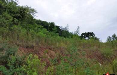 Imagem 2: Terreno para Venda em Nova Petrópolis, Linha Brasil