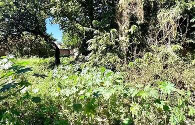 Imagem 9: LOTE MURADO. 372m² de Área