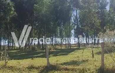 Imagem 6: Terreno - Bonfim - Paulínia