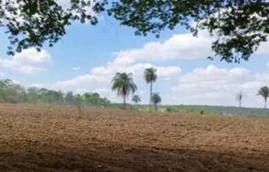 Imagem: A fazenda está localizado em Fundinho, Uberlândia à venda