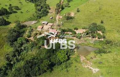 Imagem 11: Fazenda Vargem Grande em Bela Vista de Goiás
