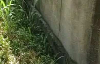 Imagem: O terreno possui 420m² de Área e está localizado em Maceió