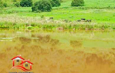 Imagem 2: Fazenda 182 Alqueires Paulista Em Governador Valadares/MG