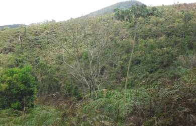 Imagem 9: Terreno à venda, 1024 m² por R$ 60.000,00 - Vieira - Teresópolis/RJ