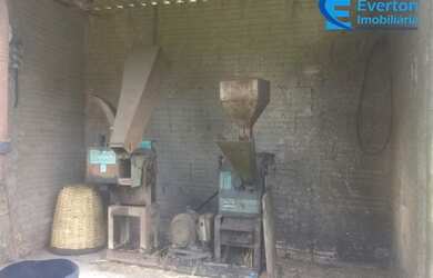 Imagem 14: Fazenda rica em água, com 25,50alqueires em Presidente Olegário - MG