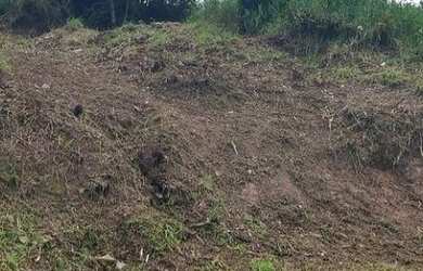 Imagem: O terreno e está localizado em Colônia, Ribeirão Pires à