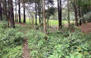 Imagem 3: Terreno à venda, 8857 m² por R$ 849.000,00 - Ferraria - Campo Largo/PR