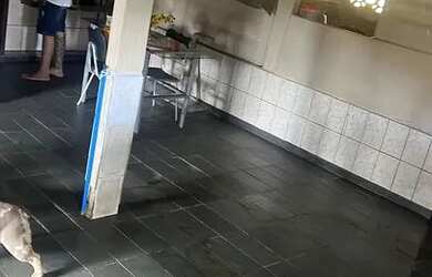 Imagem 5: Apartamento em Glória - Vila Velha, ES