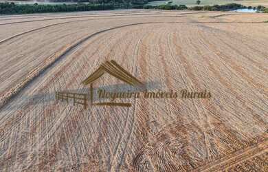 Imagem 5: Sítio com 17 alqueires terra vermelha em Quadra/SP