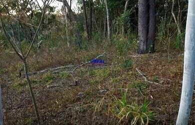 Imagem 14: Sitio à venda, 3 quartos, 1 suíte, 10 vagas, campos fernandes - Bonfim/MG