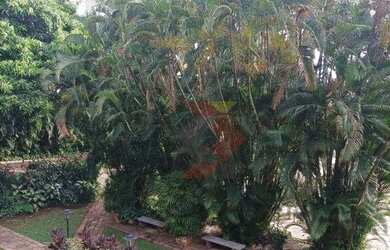 Imagem 15: MANSÃO PARA ALUGAR, 9.730M2 SETOR COIMBRA, GOIÂNIA - GO