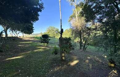 Imagem 4: Excelente Sítio à venda com 4.8 hectares em Linha Olinda. Nova Petrópolis...