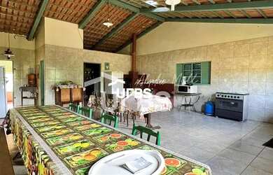 Imagem 14: Fazenda Vargem Grande em Bela Vista de Goiás