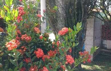 Imagem: A casa possui 2 Dormitórios, 2 Banheiros, 150m² de Área e