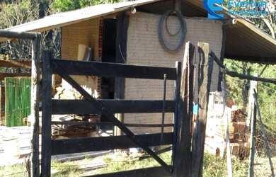 Imagem 12: Fazenda rica em água, com 25,50alqueires em Presidente Olegário - MG