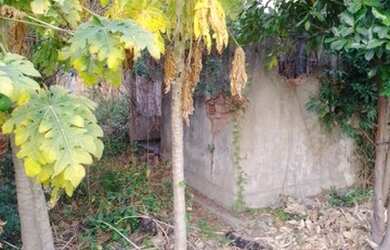 Imagem 8: Contac Negócios Imobiliários vende terreno em Bonsucesso