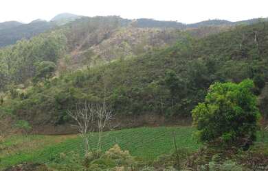 Imagem 15: Terreno à venda, 1024 m² por R$ 60.000,00 - Vieira - Teresópolis/RJ