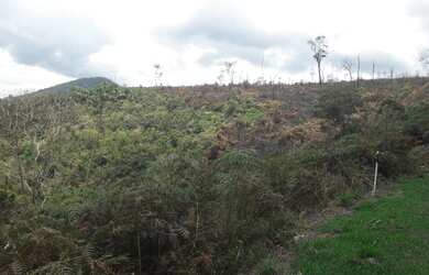Imagem 4: Terreno à venda, 1024 m² por R$ 60.000,00 - Vieira - Teresópolis/RJ