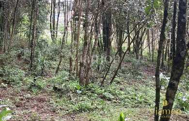 Imagem 14: Terreno à venda, 8857 m² por R$ 849.000,00 - Ferraria - Campo Largo/PR