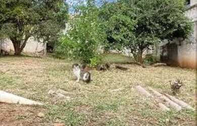 Imagem: Lote/Terreno para venda com 300 metros quadrados em Vila Rezende