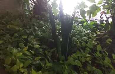 Imagem: O apartamento possui 2 Dormitórios, 3 Banheiros, 1 Vaga na