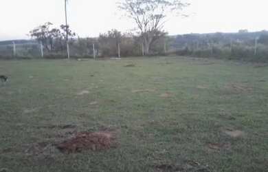 Imagem: O terreno está localizado em Vila Industrial, Bauru à venda