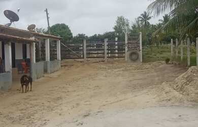 Imagem: A fazenda possui 220.000m² de Área e está localizado em