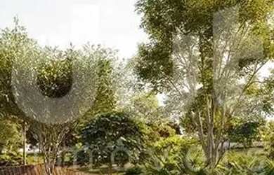 Imagem 9: Terreno - Parque Bom Retiro - Paulínia