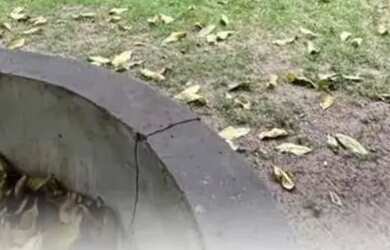 Imagem: A casa possui 3 Dormitórios, 1 Banheiro, 1 Vaga na garagem