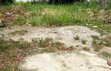 Imagem: O terreno possui 25.000m² de Área e está localizado em Campo