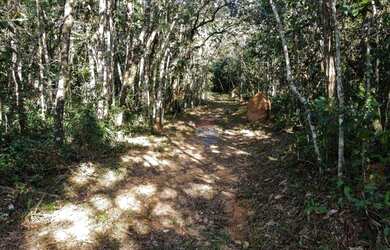 Imagem 8: Terreno à venda, 627 m² por R$ 345.367,00 - Inconfidentes - Ouro Preto/MG