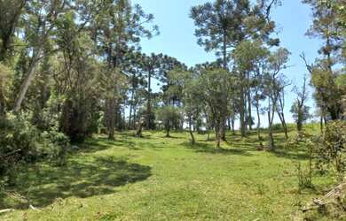 Imagem: A chácara possui 146.000m² de Área e está localizado em