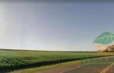 Imagem: O terreno está localizado em Área Rural de Cambé, Cambé