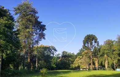 Imagem 10: LONDRINA - Sítio - Gleba Cafezal