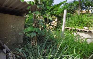 Imagem 8: Terreno para Venda em Rio de Janeiro, Barra de Guaratiba