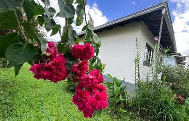 Imagem: A casa possui 3 Dormitórios, 1 Banheiro, 1 Vaga na garagem