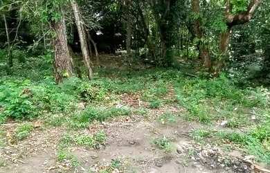 Imagem: O terreno está localizado em Praça 14 de Janeiro, Manaus à