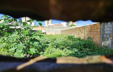 Imagem: O terreno possui 816m² de Área e está localizado em Coroa