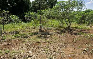 Imagem: A fazenda possui 1.017m² de Área e está localizado em São