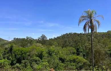 Imagem: O terreno possui 600m² de Área e está localizado em Portão