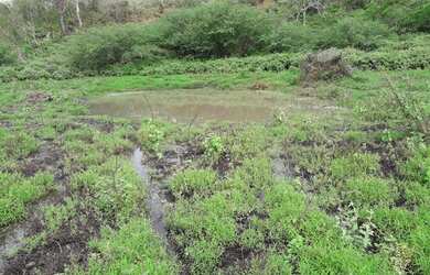 Imagem 2: Fazenda em Indiaroba - Se