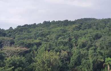Imagem: O apartamento na cobertura possui 3 Dormitórios, 2 Banheiros
