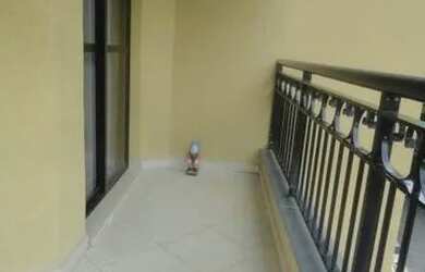 Imagem 5: AMPLO APARTAMENTO, REGIÃO NOBRE DA ENSEADA, COM PISCINA