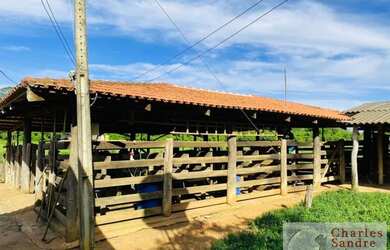 Imagem: A fazenda possui 16m² de Área e está localizado em Abadiânia