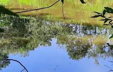 Imagem 6: Vendo lindo sítio em Araçoiaba da Serra SP bairro Jundiacanga