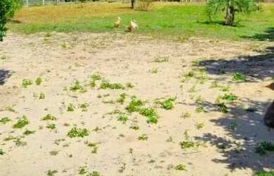 Imagem 15: Chácara em Imbituba localizada no bairro Araçatuba, á 600 metros até...