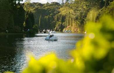 Imagem 8: Terreno - Bairro Vale dos Pinheiros