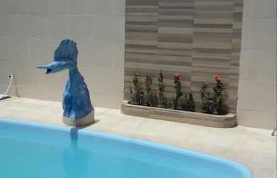 Imagem 9: Alugamos por diária casa com piscina em Porto de Galinhascasa