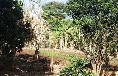 Imagem 12: Chácara em Guapó. 3.000m² de Área