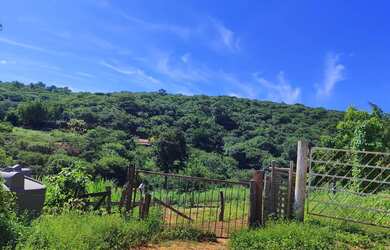 Imagem 8: VENDO SITIO NA ESTRADA DA PRODUÇÃO PROXIMO A SAMAMBAIA COM LINDAS BELEZAS...